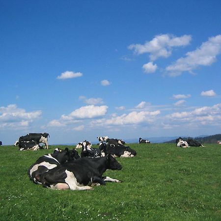 Hof Laesser Möggers Esterno foto