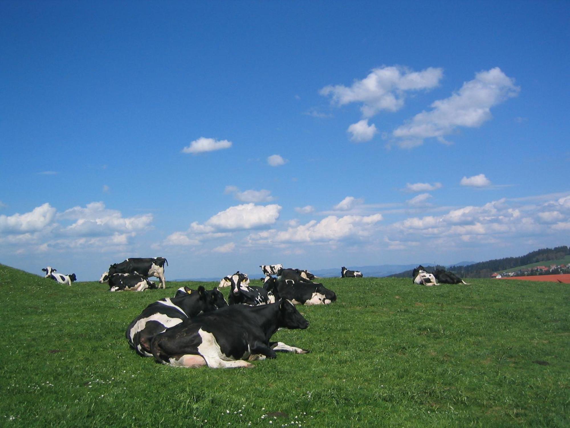 Hof Laesser Möggers Esterno foto